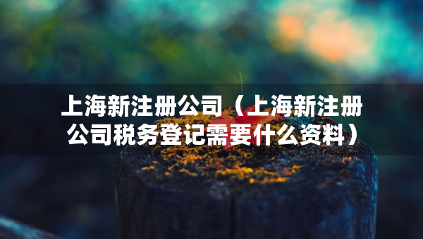 上海新注冊(cè)公司（上海新注冊(cè)公司稅務(wù)登記需要什么資料）