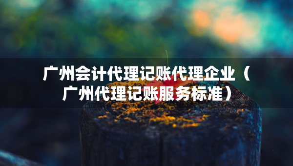 廣州會計代理記賬代理企業(yè)（廣州代理記賬服務(wù)標(biāo)準(zhǔn)）