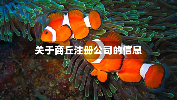 關(guān)于商丘注冊公司的信息