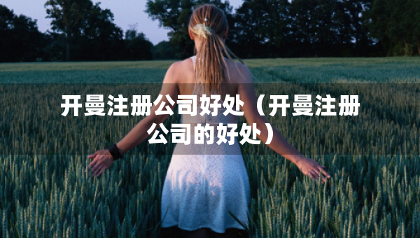 開曼注冊公司好處（開曼注冊公司的好處）