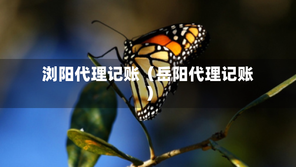 瀏陽代理記賬（岳陽代理記賬）