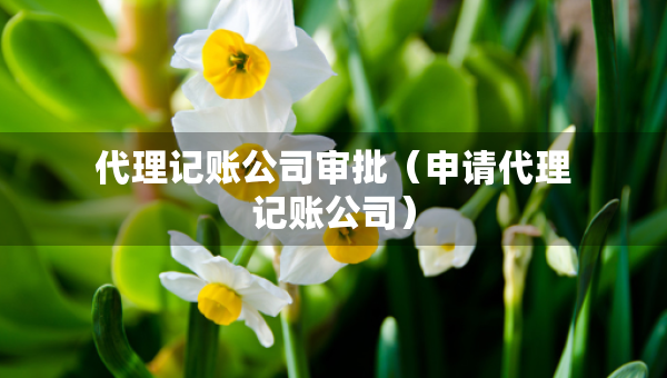 代理記賬公司審批（申請(qǐng)代理記賬公司）