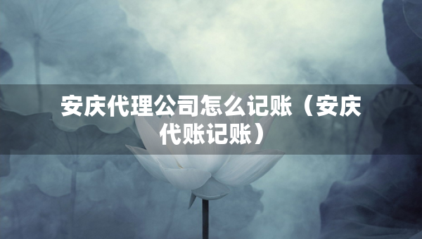安慶代理公司怎么記賬（安慶代賬記賬）