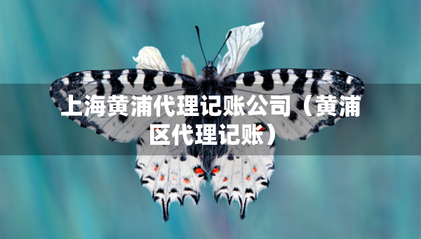 上海黃浦代理記賬公司（黃浦區(qū)代理記賬）