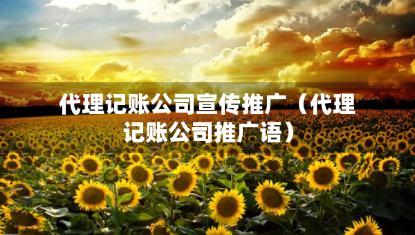 代理記賬公司宣傳推廣（代理記賬公司推廣語）