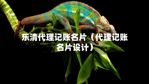 樂清代理記賬名片（代理記賬名片設(shè)計(jì)）