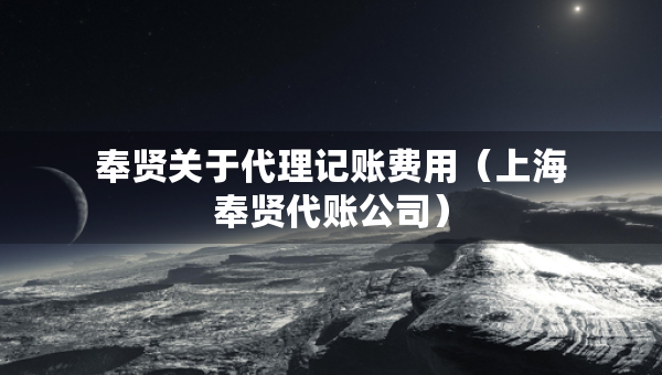 奉賢關于代理記賬費用（上海奉賢代賬公司）