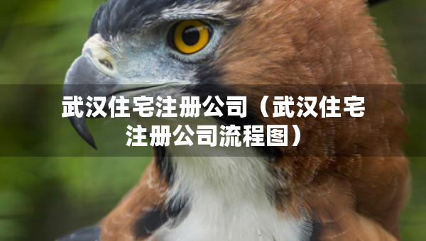 武漢住宅注冊(cè)公司（武漢住宅注冊(cè)公司流程圖）