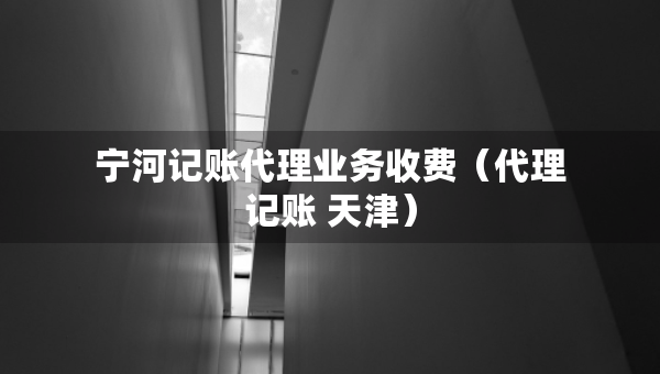 寧河記賬代理業(yè)務收費（代理記賬 天津）