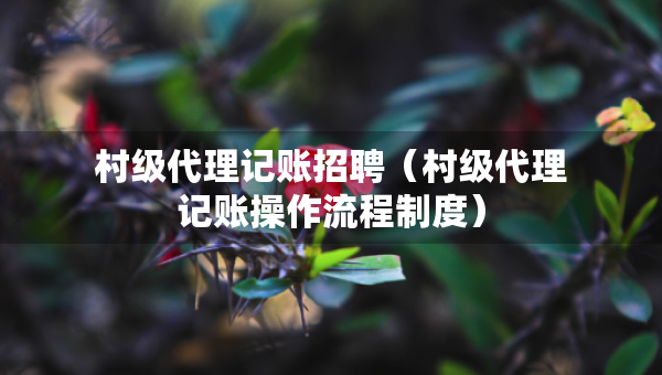 村級代理記賬招聘（村級代理記賬操作流程制度）