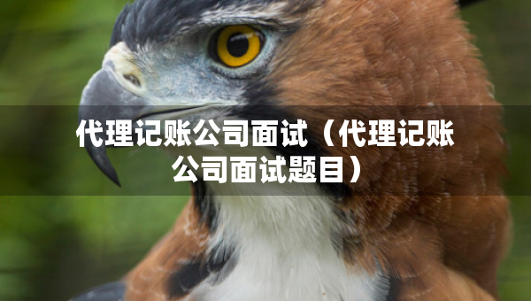 代理記賬公司面試（代理記賬公司面試題目）