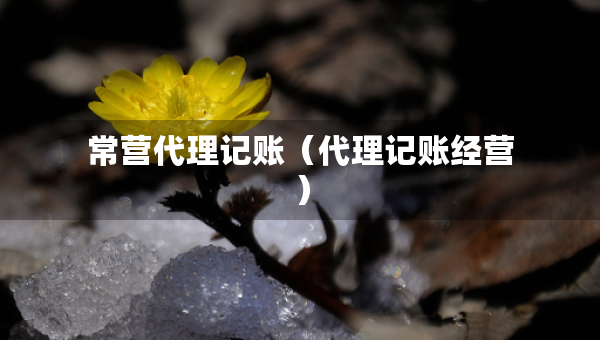 常營(yíng)代理記賬（代理記賬經(jīng)營(yíng)）