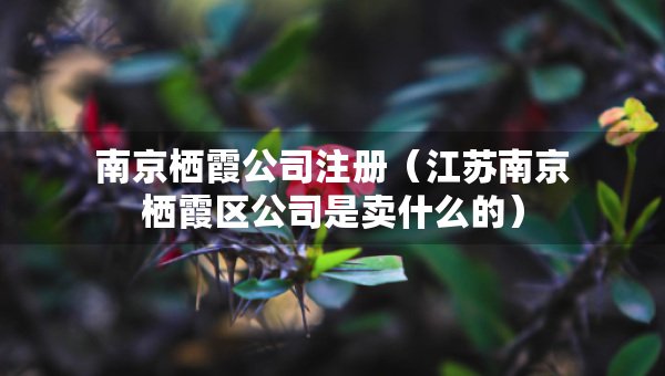 南京棲霞公司注冊（江蘇南京棲霞區(qū)公司是賣什么的）