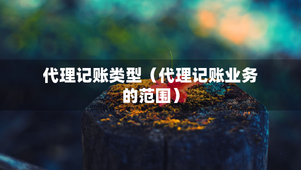 代理記賬類型（代理記賬業(yè)務(wù)的范圍）