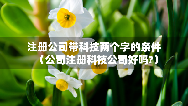 注冊公司帶科技兩個字的條件（公司注冊科技公司好嗎?）
