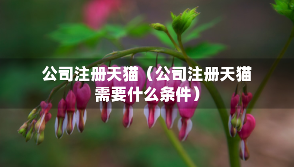 公司注冊天貓（公司注冊天貓需要什么條件）