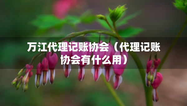 萬(wàn)江代理記賬協(xié)會(huì)（代理記賬協(xié)會(huì)有什么用）