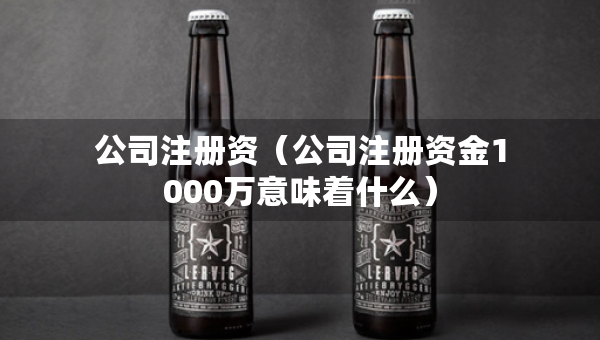 公司注冊(cè)資（公司注冊(cè)資金1000萬(wàn)意味著什么）