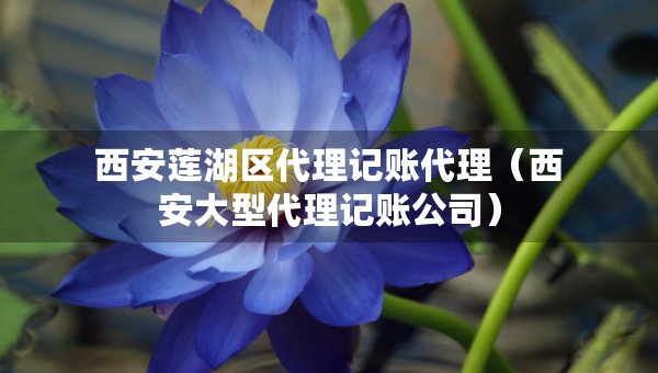 西安蓮湖區(qū)代理記賬代理（西安大型代理記賬公司）