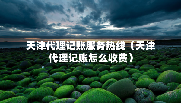 天津代理記賬服務(wù)熱線（天津代理記賬怎么收費(fèi)）