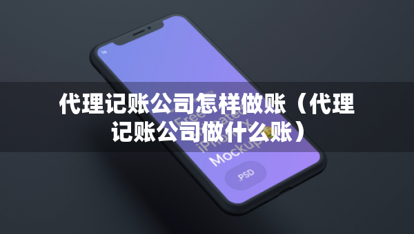 代理記賬公司怎樣做賬（代理記賬公司做什么賬）