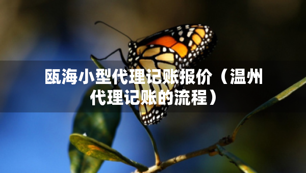 甌海小型代理記賬報價（溫州代理記賬的流程）