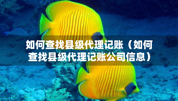 如何查找縣級(jí)代理記賬（如何查找縣級(jí)代理記賬公司信息）