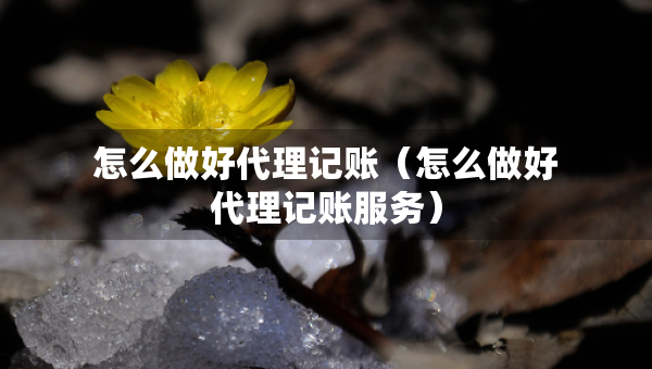 怎么做好代理記賬（怎么做好代理記賬服務）