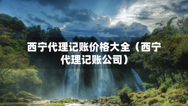 西寧代理記賬價格大全（西寧代理記賬公司）