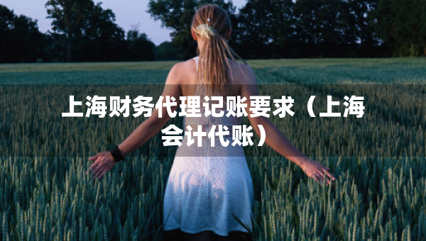上海財務代理記賬要求（上海會計代賬）