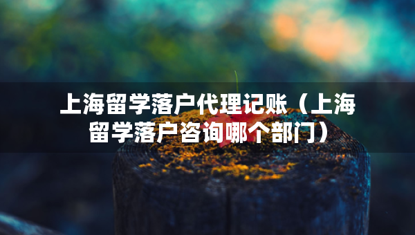 上海留學(xué)落戶代理記賬（上海留學(xué)落戶咨詢哪個部門）