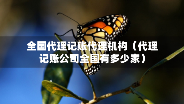 全國(guó)代理記賬代理機(jī)構(gòu)（代理記賬公司全國(guó)有多少家）