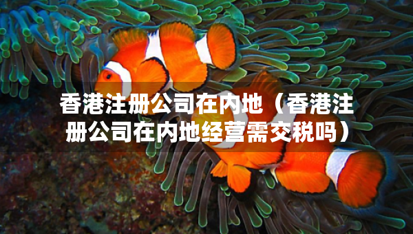 香港注冊公司在內(nèi)地(香港注冊公司在內(nèi)地經(jīng)營需交稅嗎) 香港注冊公司在內(nèi)地(香港注冊公司在內(nèi)地經(jīng)營需交稅嗎)