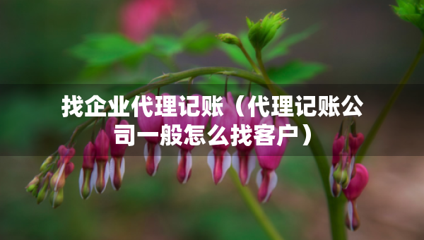 找企業(yè)代理記賬（代理記賬公司一般怎么找客戶）