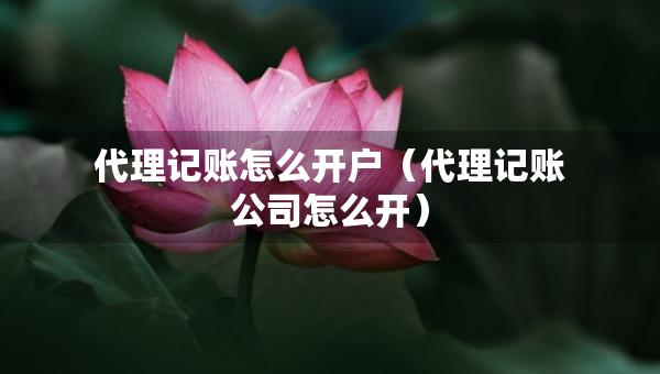 代理記賬怎么開(kāi)戶（代理記賬公司怎么開(kāi)）