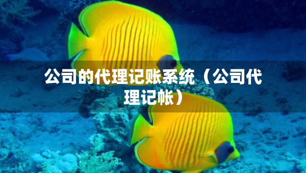 公司的代理記賬系統(tǒng)（公司代理記帳）