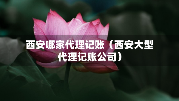 西安哪家代理記賬（西安大型代理記賬公司）