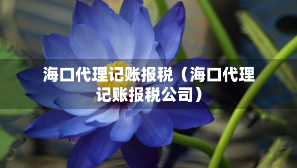 ?？诖碛涃~報(bào)稅（?？诖碛涃~報(bào)稅公司）