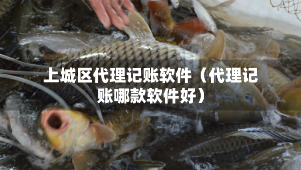 上城區(qū)代理記賬軟件（代理記賬哪款軟件好）