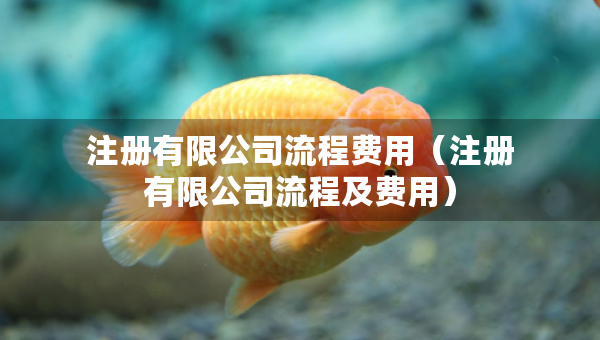 注冊有限公司流程費用（注冊有限公司流程及費用）