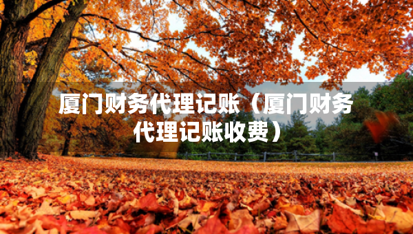 廈門財務(wù)代理記賬（廈門財務(wù)代理記賬收費）