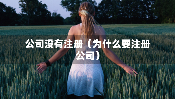 公司沒(méi)有注冊(cè)（為什么要注冊(cè)公司）