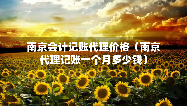 南京會(huì)計(jì)記賬代理價(jià)格（南京代理記賬一個(gè)月多少錢）