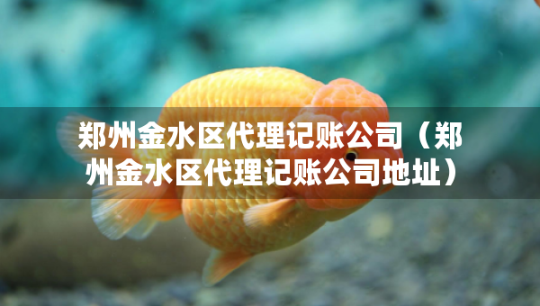 鄭州金水區(qū)代理記賬公司（鄭州金水區(qū)代理記賬公司地址）