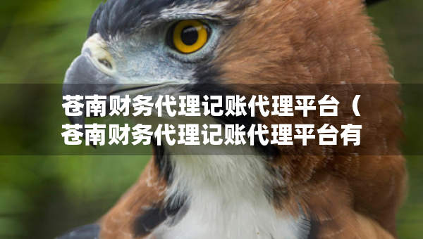 蒼南財(cái)務(wù)代理記賬代理平臺(tái)(蒼南財(cái)務(wù)代理記賬代理平臺(tái)有哪些) 蒼南財(cái)務(wù)代理記賬代理平臺(tái)(蒼南財(cái)務(wù)代理記賬代理平臺(tái)有哪些)