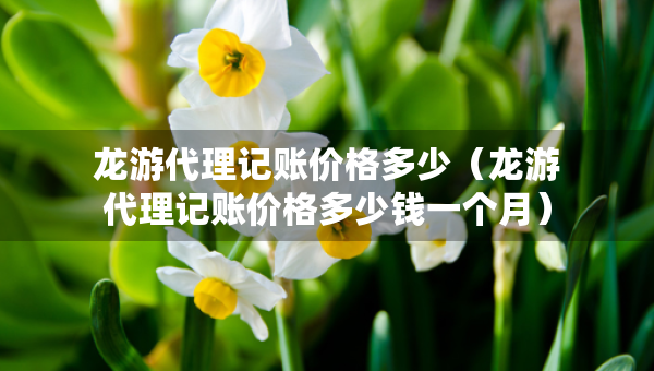 龍游代理記賬價(jià)格多少（龍游代理記賬價(jià)格多少錢(qián)一個(gè)月）