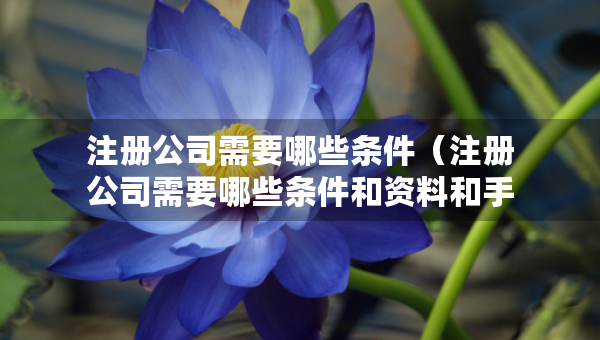注冊公司需要哪些條件（注冊公司需要哪些條件和資料和手續(xù)）