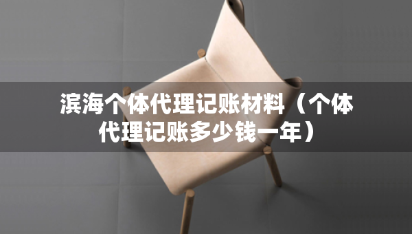 濱海個(gè)體代理記賬材料（個(gè)體代理記賬多少錢一年）