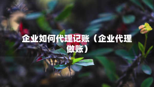 企業(yè)如何代理記賬（企業(yè)代理做賬）