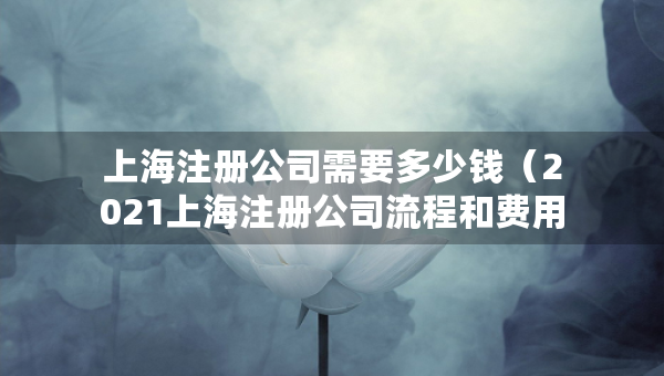 上海注冊公司需要多少錢（2021上海注冊公司流程和費用標準年）